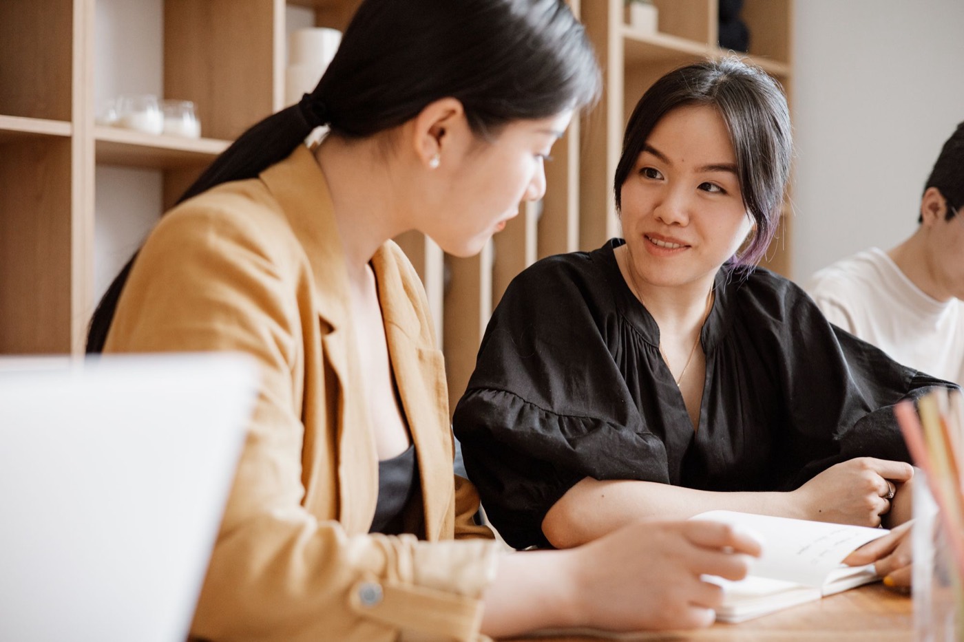 Two women professionals in a meeting
